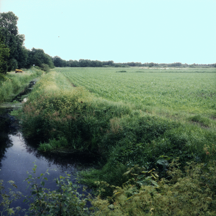 Uitzicht15