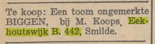 Biggen: Nieuwe provinciale Groninger courant 28 juli 1936